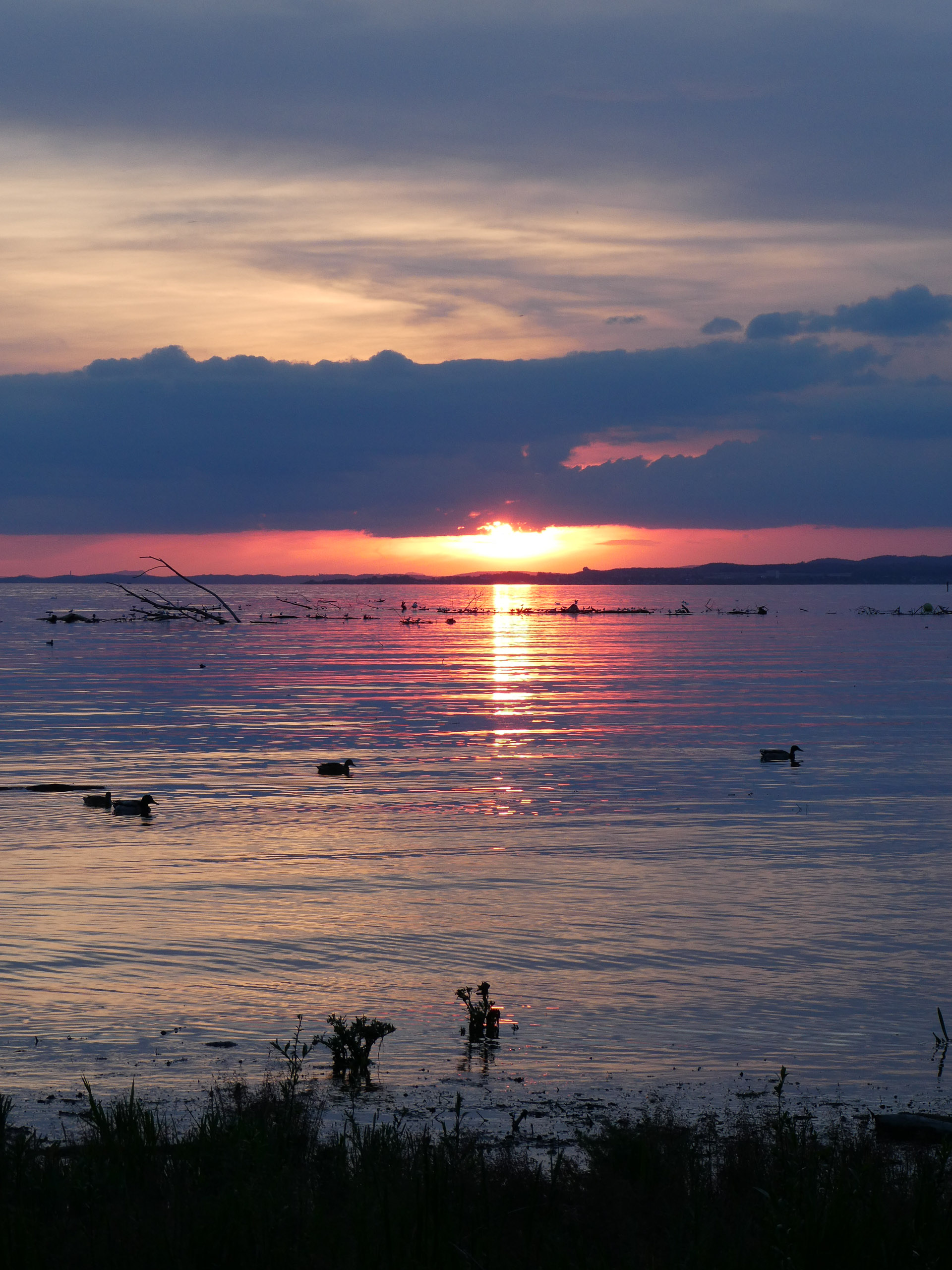 20230506203759 P1000203